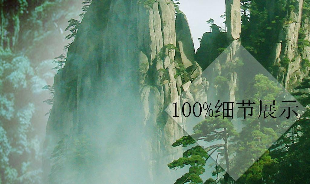 负债800亿，只带一女星和61亿跑路，亲爹去世也不回来