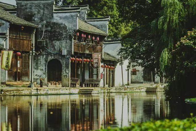 比外形拼口感，78份草莓同台打擂
